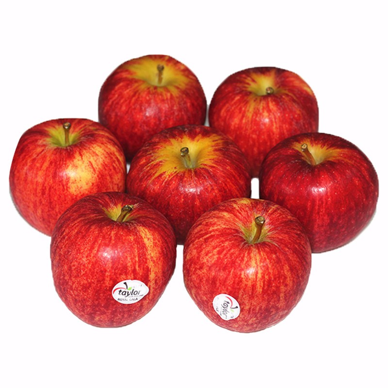 独爱(duar)新西兰佳丽果gala果脆甜嘎啦苹果进口加力果新鲜水果 3j斤