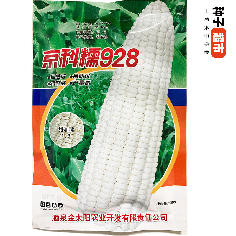 细辛京科糯928白甜糯玉米品种广适应性甜加糯口感好玉米种子200克