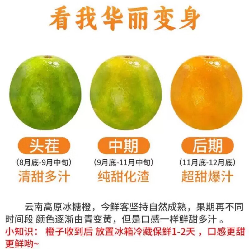 农初选正宗云南哀牢山冰糖橙新鲜甜橙子 现摘当季新鲜水果手剥橙子整箱 【5斤大果】65mm-70mm