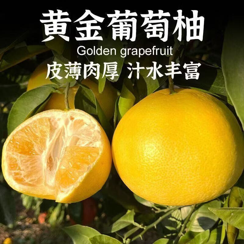 果迎鲜爆汁葡萄柚福建平和当季黄金葡萄柚薄皮柚子西柚孕妇新鲜应季水果 净重4.5斤装