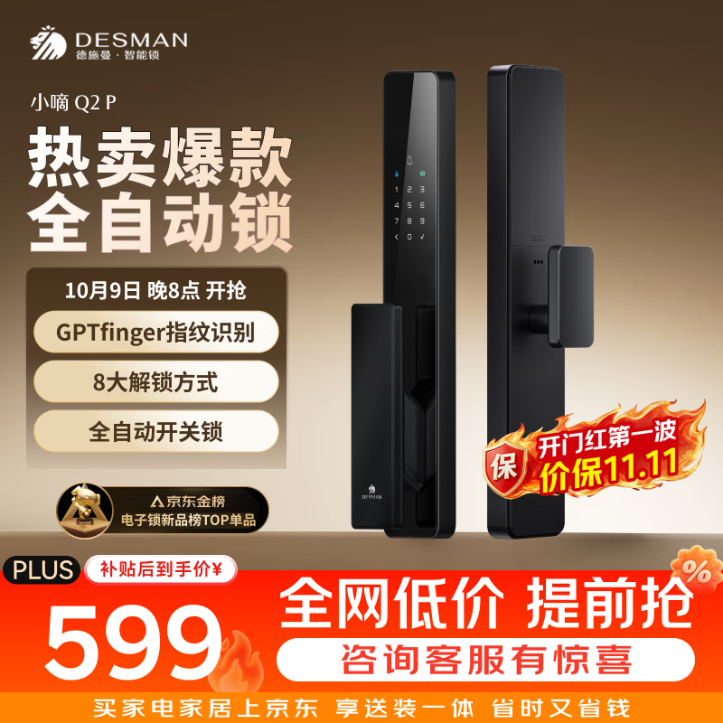 德施曼（DESMAN）智能门锁全自动C级锁芯入户门防盗指纹密码电子锁小嘀Q2P
