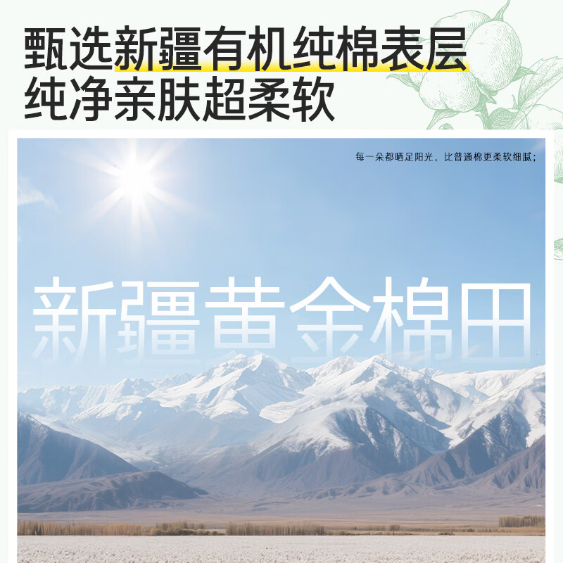 自由点(FREEMORE)有机纯棉安睡裤防漏卫生巾M-L码拉拉裤女经期用裤型姨妈巾柔软 M-L 10片 80-130斤 【超值囤货】