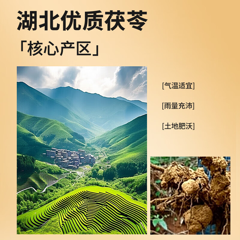 北京同仁堂茯苓130克 湖北产可配酸枣仁百合五指毛桃泡茶 130克