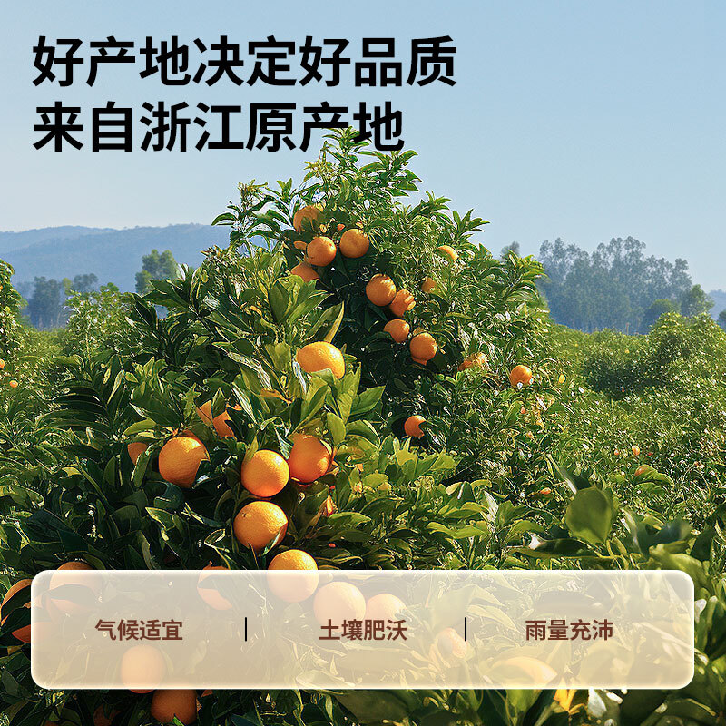 北京同仁堂新会陈皮陈皮茶泡水花草茶果茶养生茶送礼礼品 98g(原产衢州)