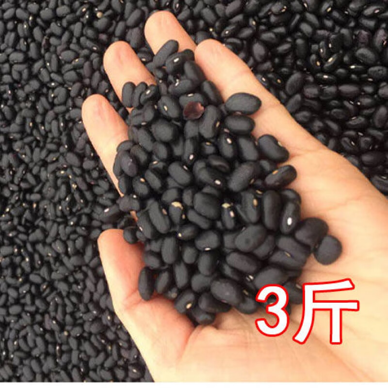 农家特产   黑豇豆 黑江豆粯子粥农家自种乌豇豆小黑豆 3斤