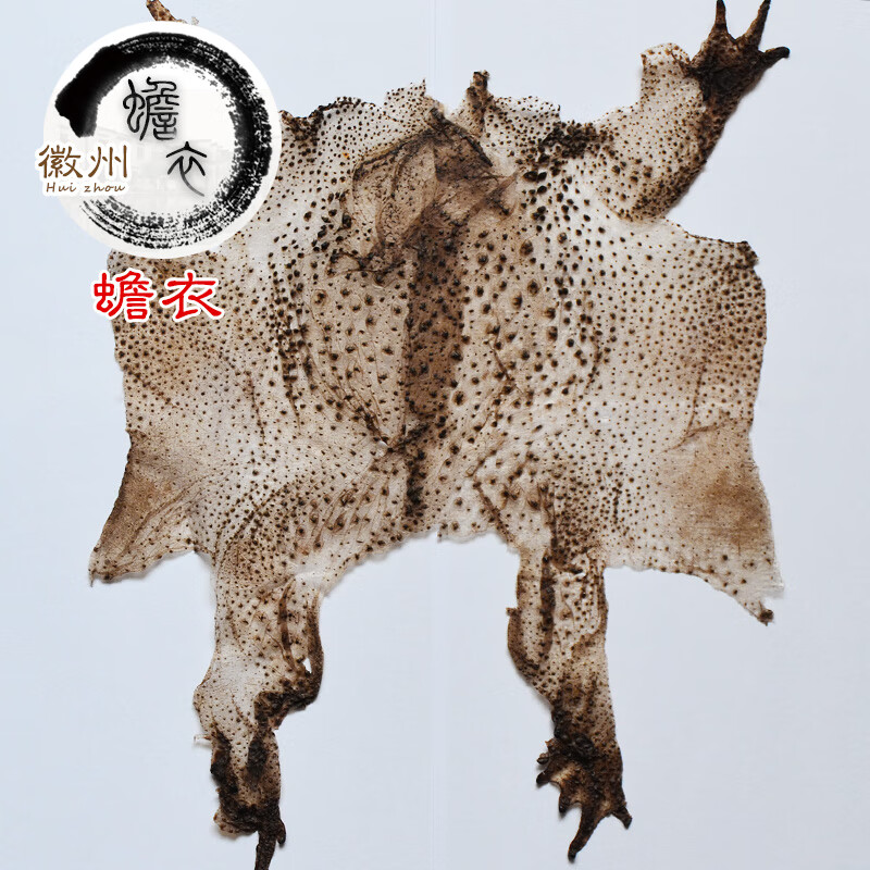 蟾蜍衣干蟾蜍的皮中药材癞蛤蟆皮蟾蜕蛤蟆衣蟾的衣癞赖蛤蟆蛤蟆皮 衣