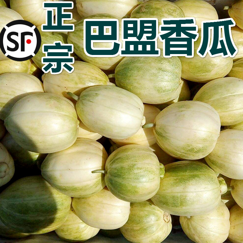 晨臻【顺丰空运-头茬特级果】内蒙古巴盟香瓜 河套白莲脆 应季水果