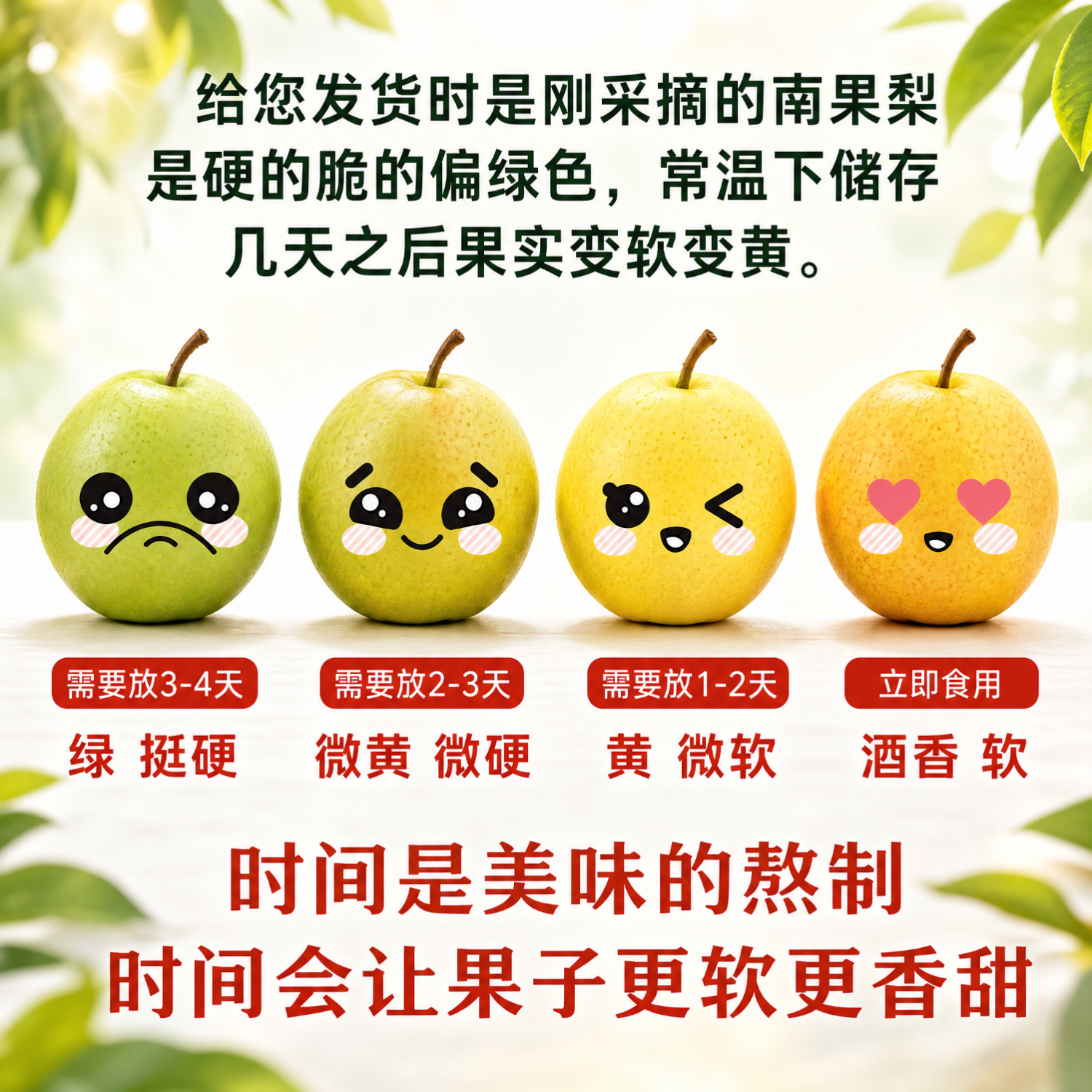 云禾青穗小平房南果梨【多地次日达】东北特产香水梨新鲜水果 【家庭装】黄南果梨 净重4.5斤(小果)