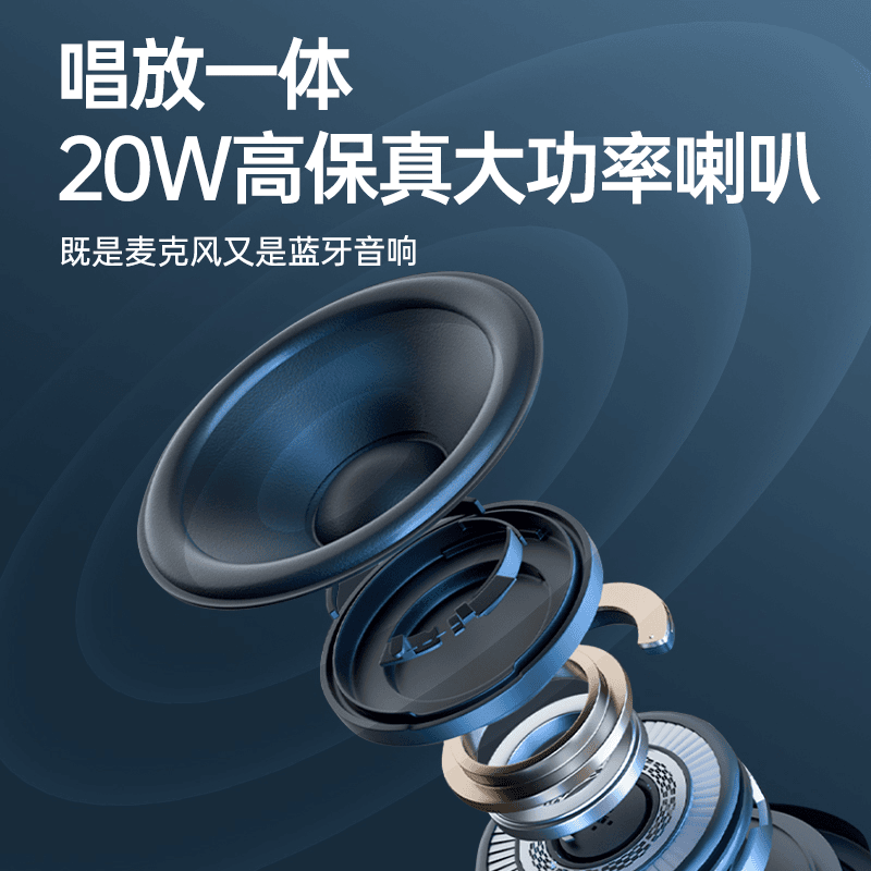 金运(KINYO)H9话筒音响一体麦克风户外家用K歌音箱卡拉ok声卡唱歌家庭ktv神器 【H9 K歌直播麦】声卡音响一体麦克风