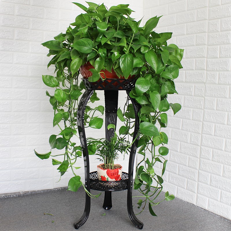 花架装饰架历史价格怎么查|花架装饰架价格走势图