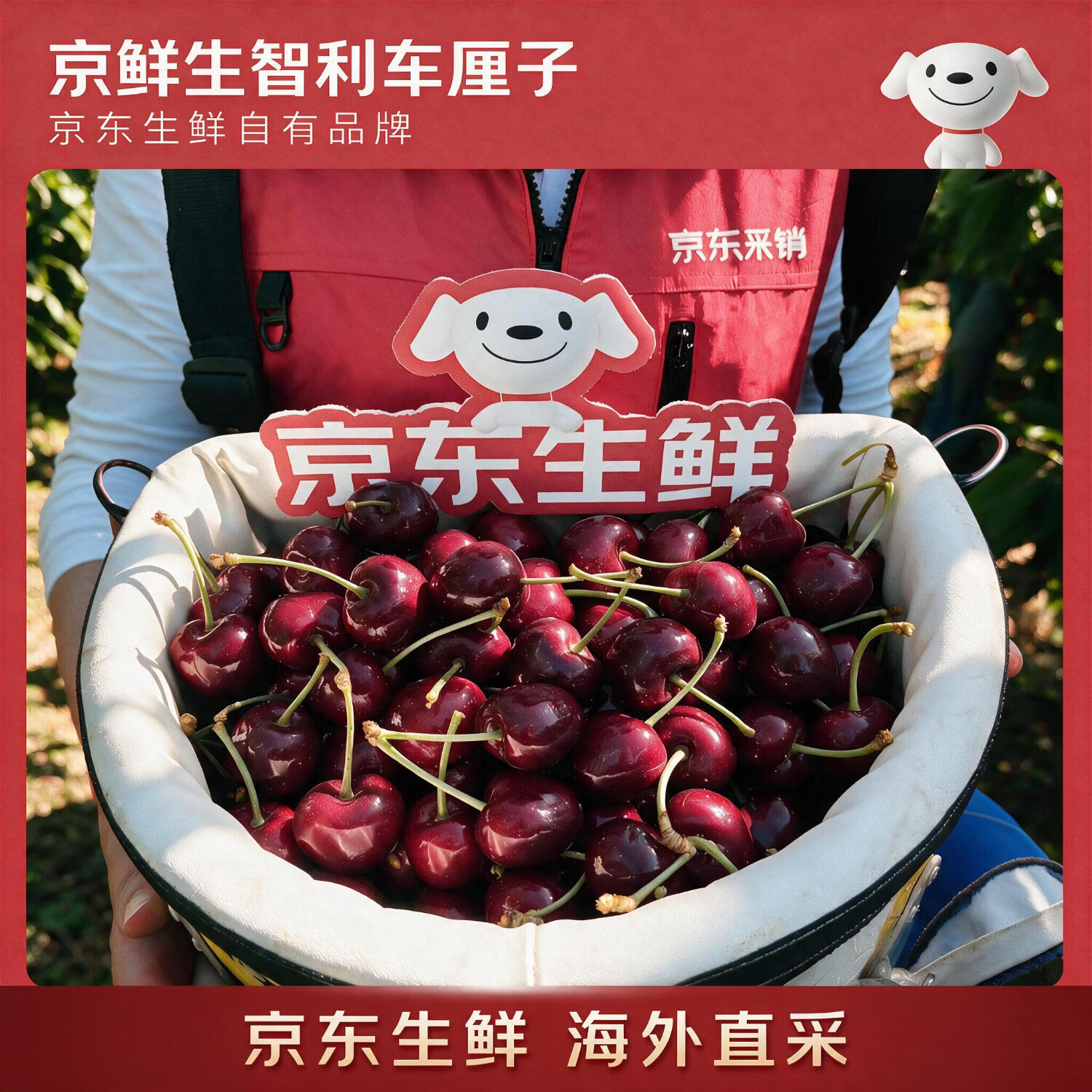 https://img14.360buyimg.com/pop/jfs/t1/537510/31/4105/423530/6ad76250F3d1b70c8/00835dc5dc6ebd51.jpg