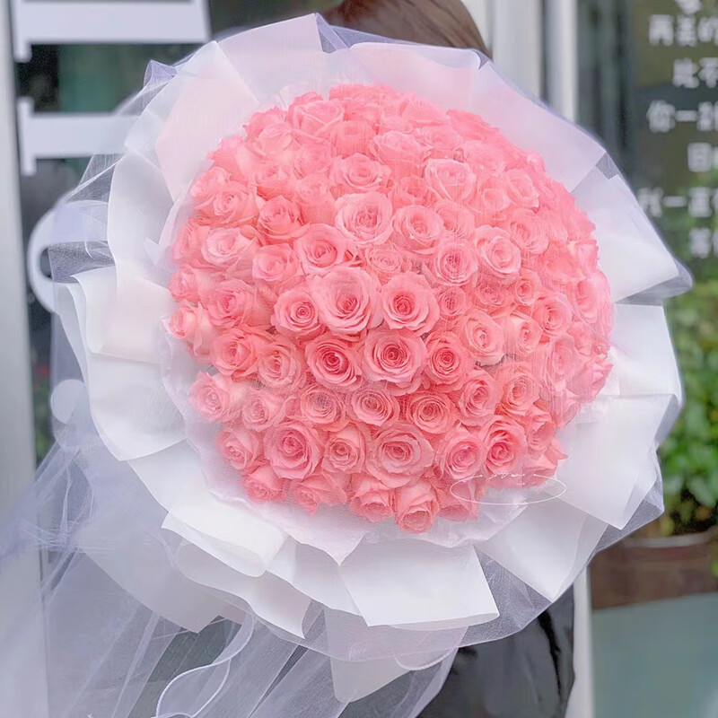 配送99朵玫瑰花束送老婆女友表白订婚生日礼物 99朵粉玫瑰鲜花花束