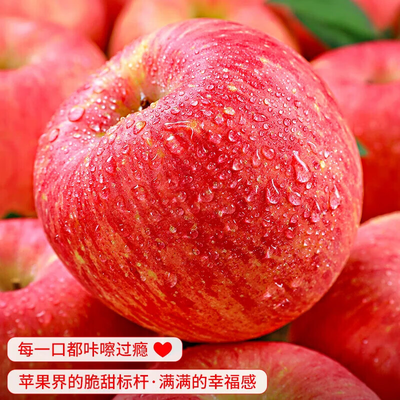 异果恋正宗山西运城红富士苹果现摘应当季新鲜水果整箱脆甜多汁 带箱8.5斤特大果80mm+【净8斤约19个】