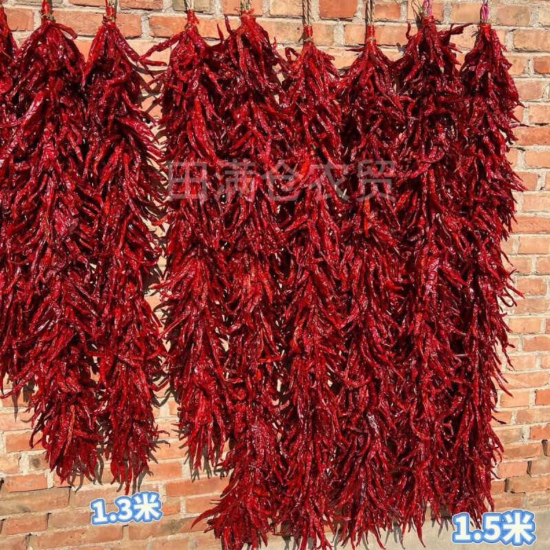 玉米串红辣椒真辣椒串麦子串谷穗谷子串大蒜串秋收装 【二荆条辣椒】1.3米长/1串