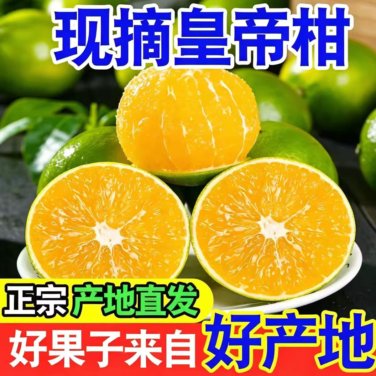 蒲恋正宗广西皇帝柑新鲜应季水果薄皮无渣纯甜橘子 中果带箱5斤【单果60-80mm】