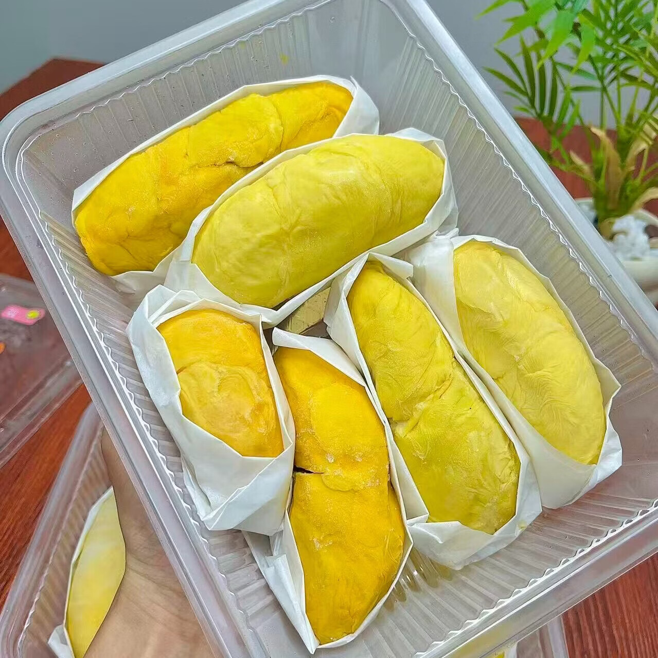 佳果季液氮榴莲盲盒拼盘马来西亚冷冻榴莲品种随机发 300g*2盒(礼盒装,2-3个品种随机发)