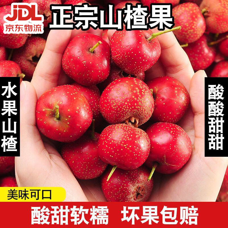呈鲜果农水果山楂 甜红子山楂 26年新果 JD包邮送货上门 3斤装一级果单果5-10g净重2.5-3斤