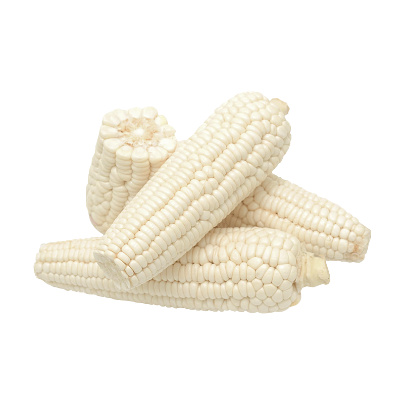 ũ֮�ӻ���Ŵ��������ũ��Ժ����ʳ�û�ճ���� ������Ŵ2000Ŵ��������200g��Ŵ 19Ԫ