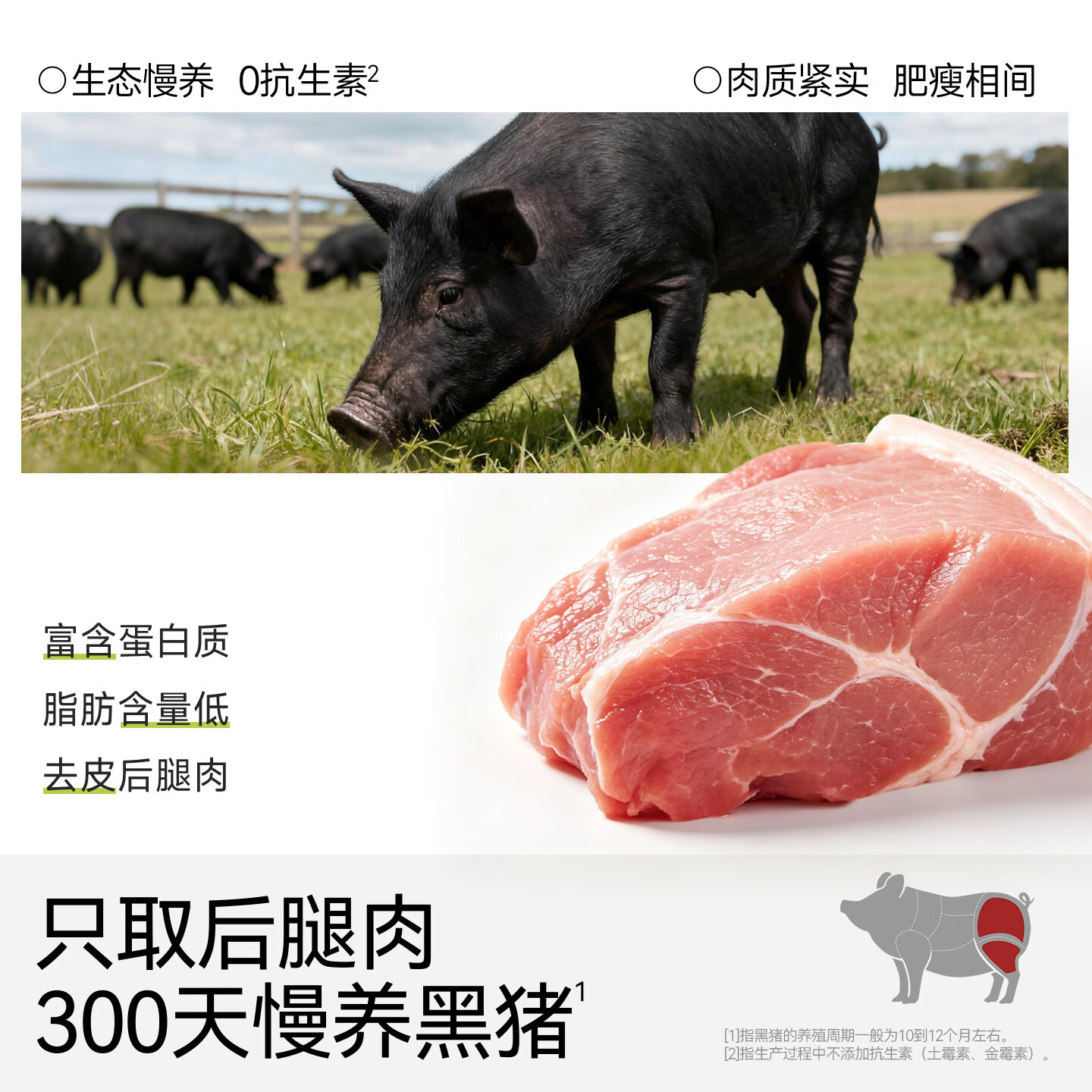 不二宝贝儿童黑猪午餐肉单独包片装搭无添加蔗糖婴儿幼儿宝宝零食 【1袋 | 100%黑猪肉】黑猪午餐肉原味120g