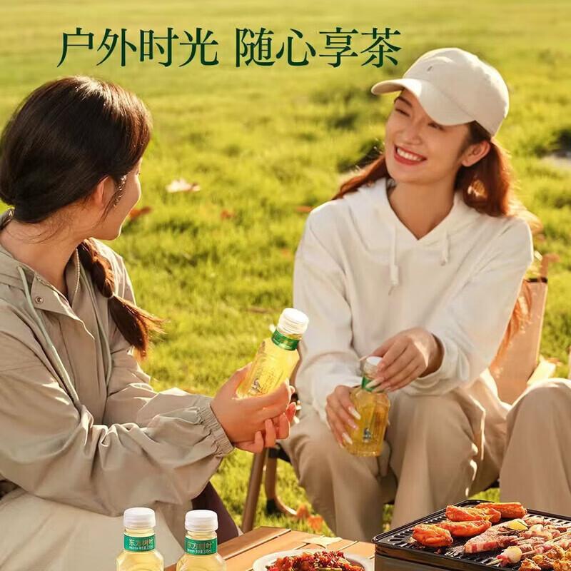 东方树叶生普洱茶无糖茶335mL普洱生茶0糖0脂0卡纯正生普下午茶无糖茶饮料 （冷链发货） 生普洱茶335mL*8（整箱）