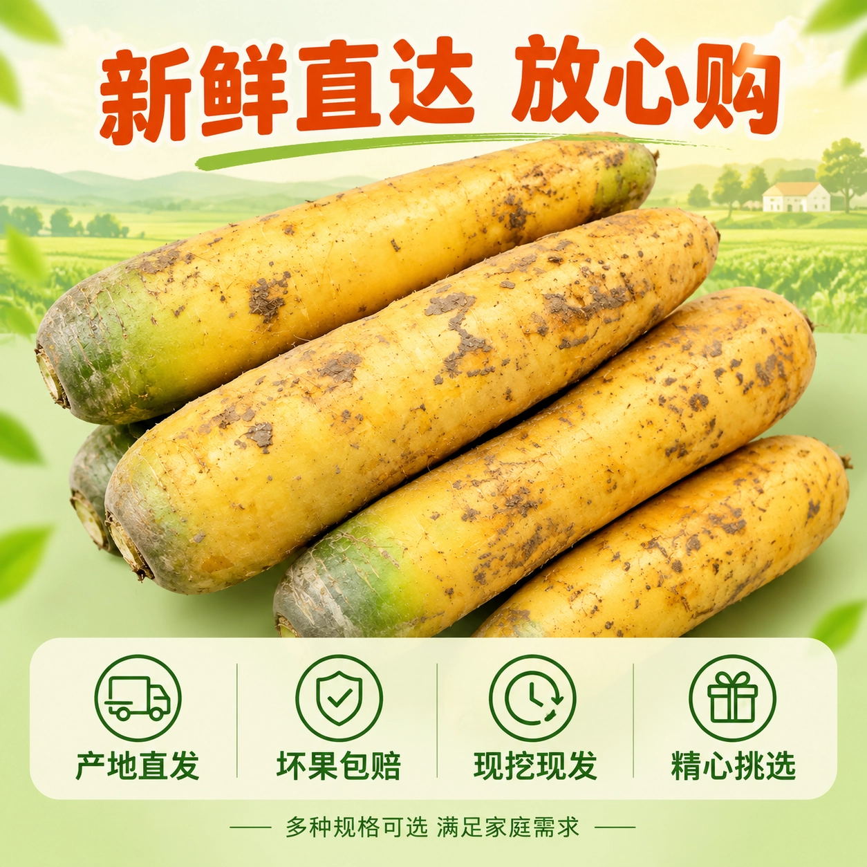 新疆黄萝卜红黄胡萝卜组合装新鲜农家自种蔬菜手抓饭榨汁凉拌萝卜 黄胡萝卜+红胡萝卜双拼4.5斤