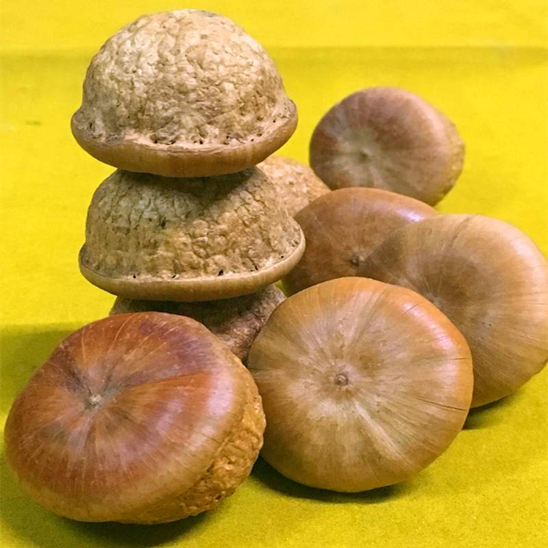 风流果益肾子子500g新鲜干货泡酒天竺粒非黑玛卡