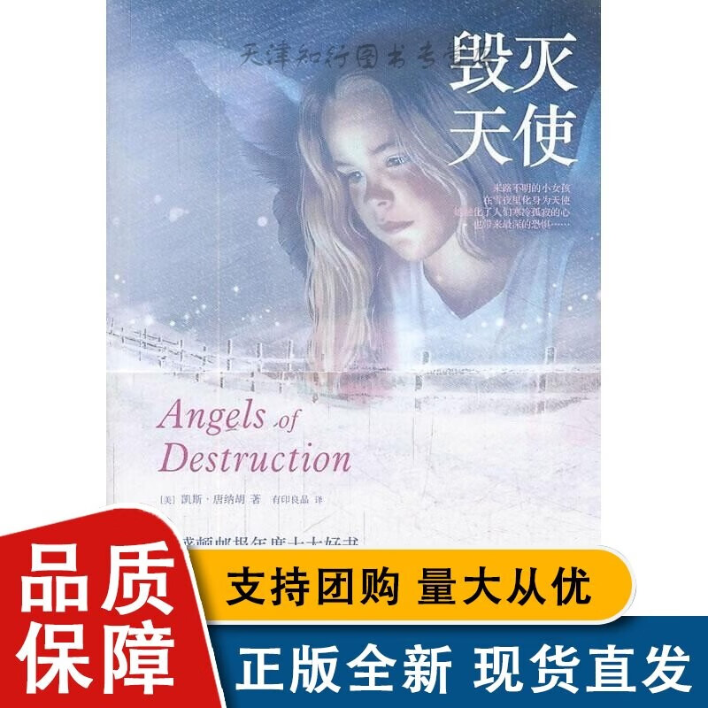 毁灭天使书凯斯·唐纳胡 小说全新L