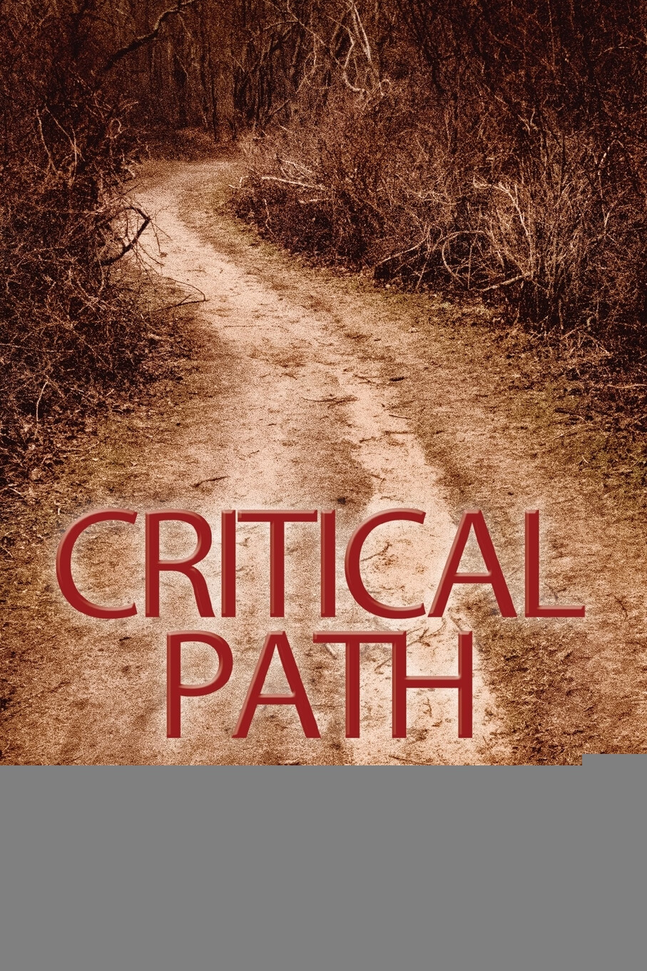 【预售 按需印刷】critical path