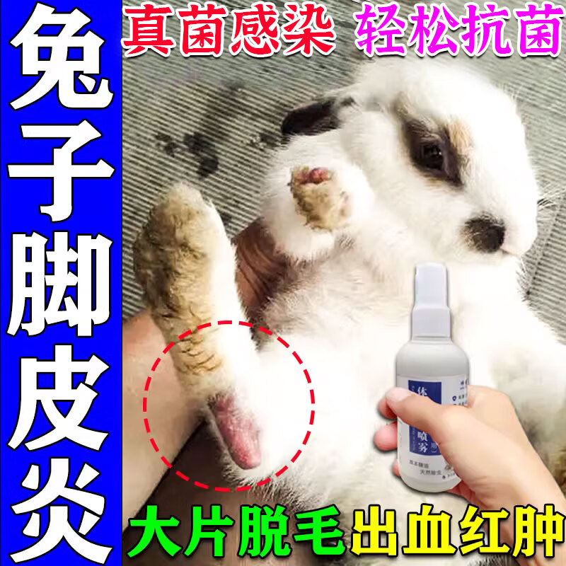 兔子脚皮炎兔子用品兔子皮肤病专用兔癣真菌感染脚黄脚趾溃烂红肿驱虫