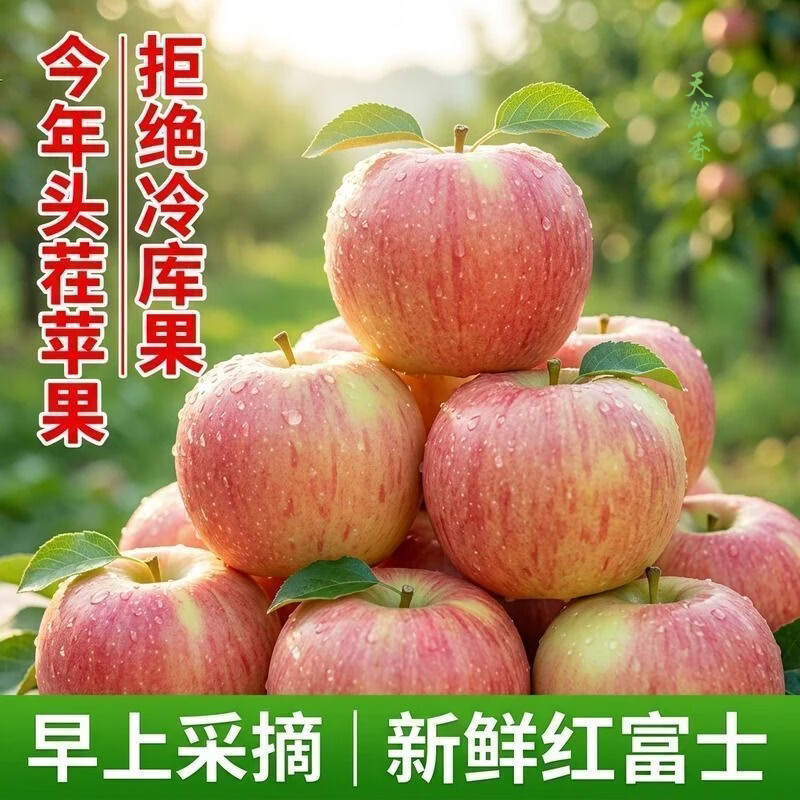 新疆阿克苏富士苹果 当季新鲜水果 整箱5斤装 果园采摘 产地直发 果径:95-120mm(甄选精品,至尊果5斤家庭装)