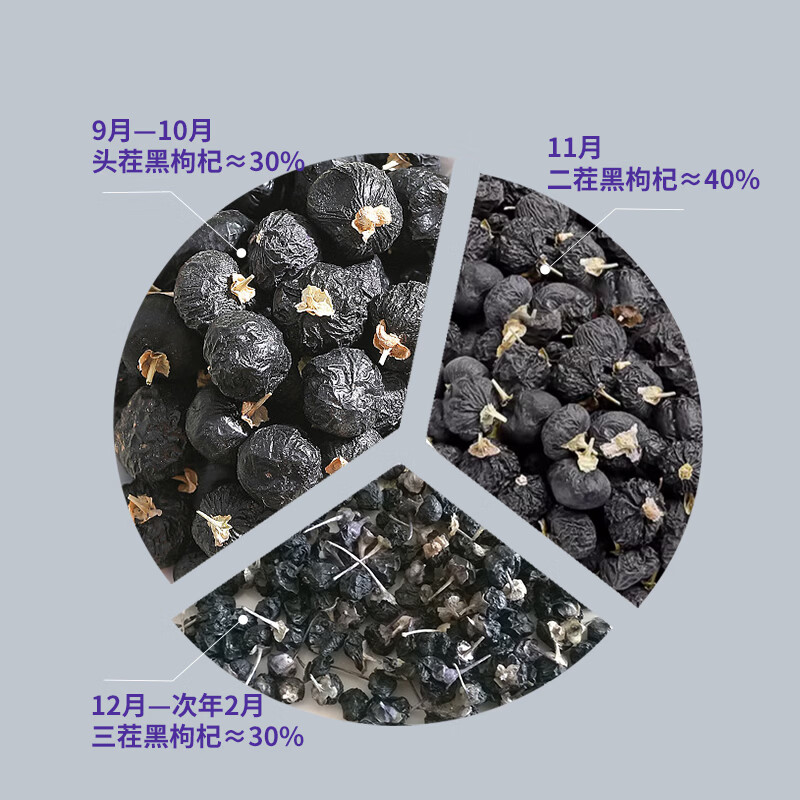 中宁枸杞临期 黑枸杞大果泡茶养生青海柴达木精选大果250克 送节日礼品 250g*2罐