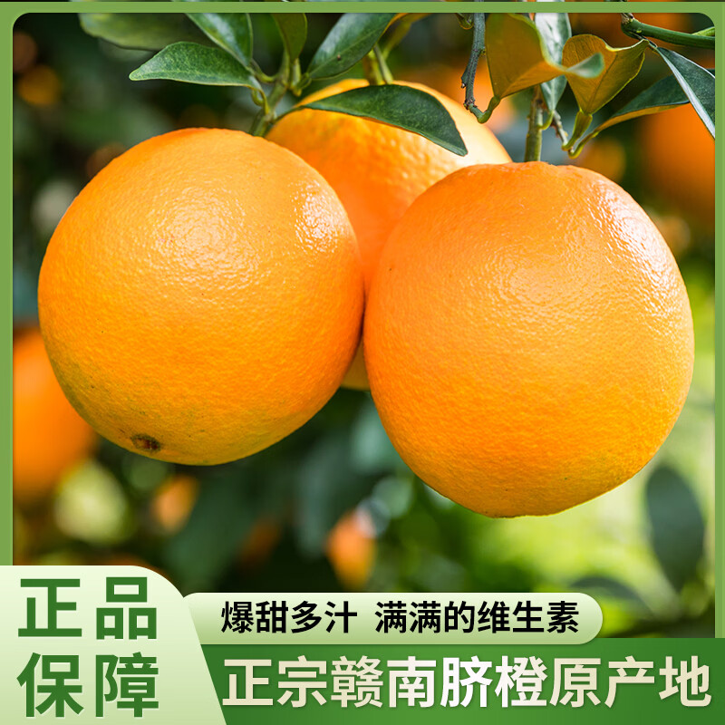 元珍鲜诚 江西赣南早脐橙 新鲜橙子 孕妇手剥橙 应季水果整箱生鲜团购送礼 10斤装(净果9斤)单果111g+