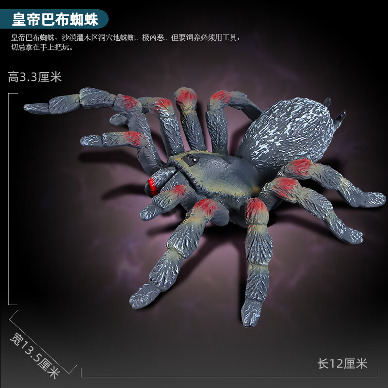 蜘蛛模型实心狼蛛大蜘蛛儿童动物科教认知男女孩礼物 皇帝巴布蜘蛛