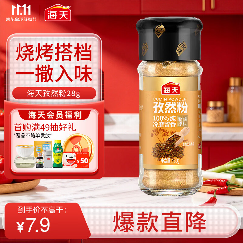 海天 孜然粉28g 纯孜然研制 新疆烧烤料烤肉烤串撒料香辛料调料