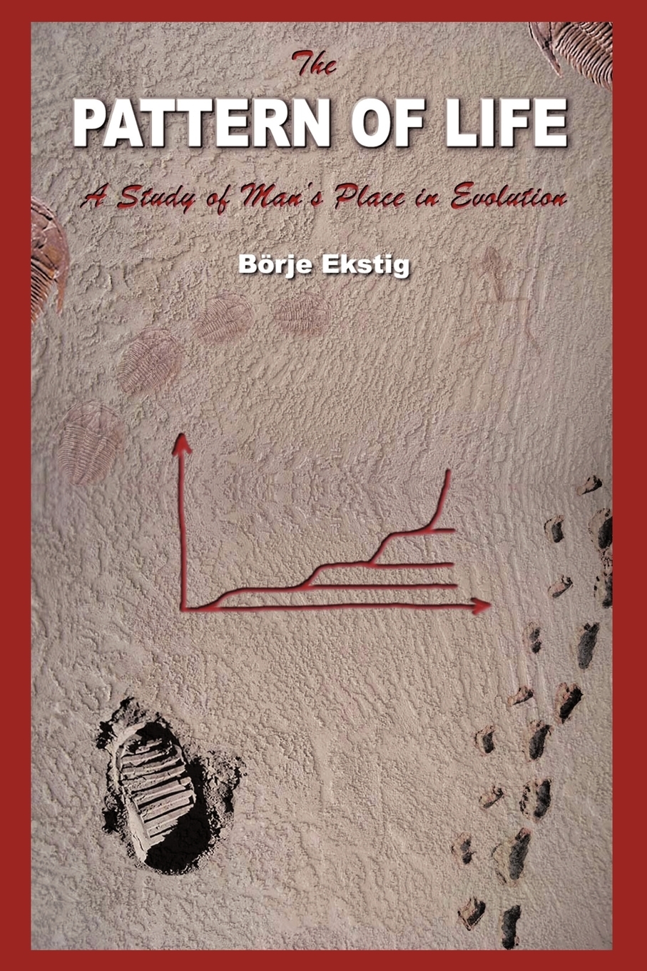 【预售 按需印刷】the pattern of life