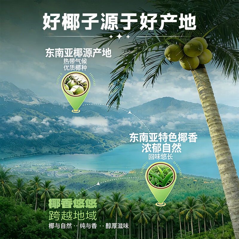 森优100%纯椰子水热带风味330ml*8畅饮装天然电解质椰子水 椰子水330ml*8 一箱装