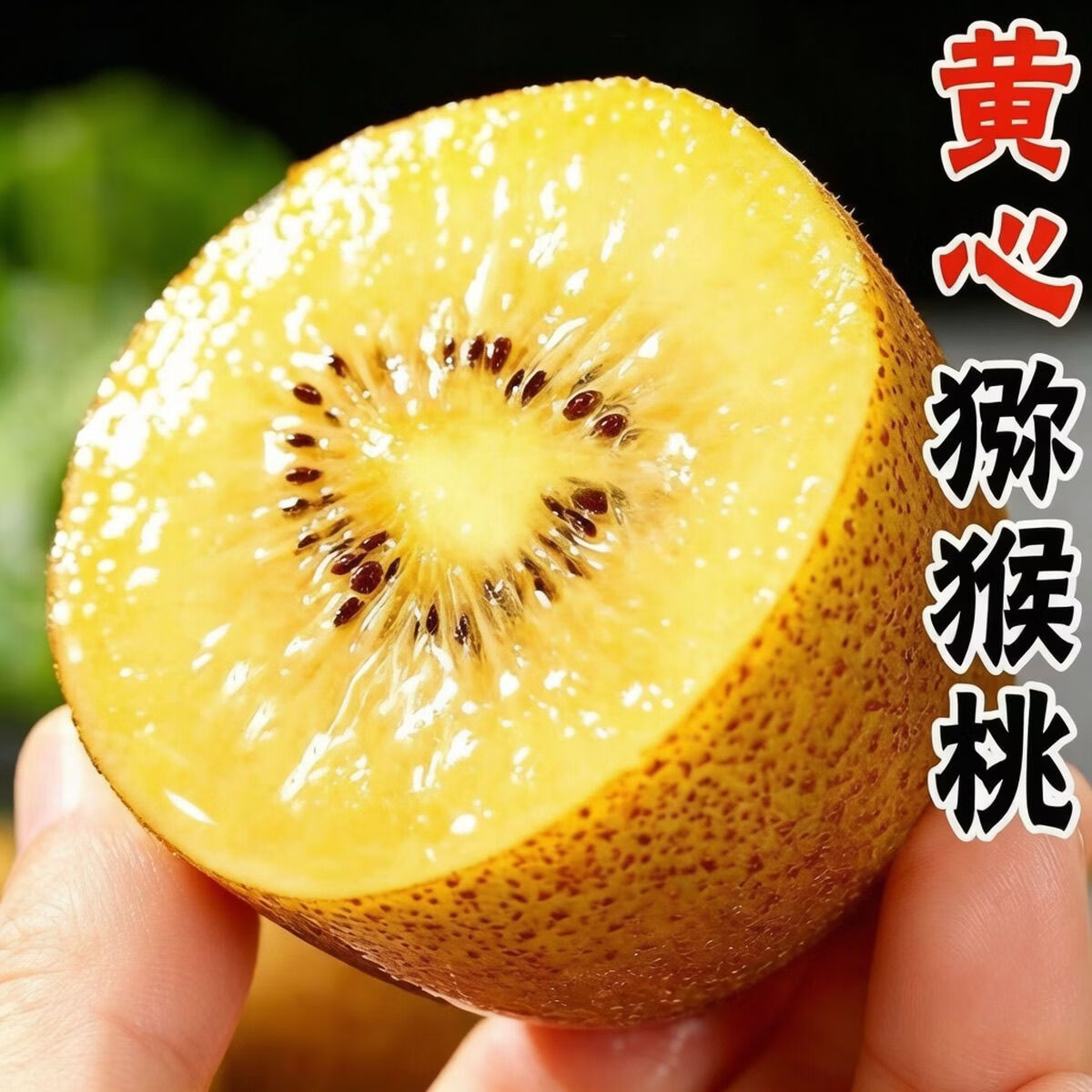 速集鲜严选四川黄心猕猴桃新鲜水果 30个小果【单果:50-70g】