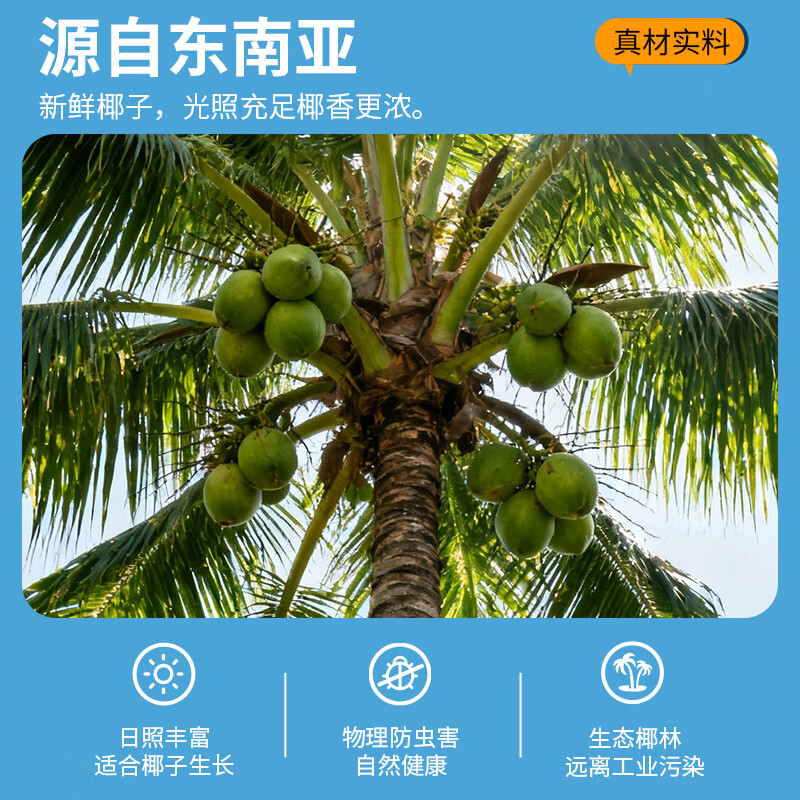 椰子泡泡泰式正宗果肉椰子汁1.25L鲜榨椰汁饮品大瓶饮料整箱聚餐酒席批发 果肉鲜榨椰汁1.25L*6瓶【内含Q弹椰果】