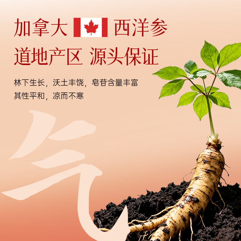 仲景元气西洋参玉灵膏桂圆龙眼肉营养品女性内调滋补气血养生膏 【感受好状态】 10g*10袋