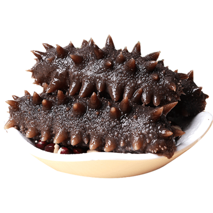 ڲ ɽʳξɴ̲κ 9-12ֻ  1128Ԫ