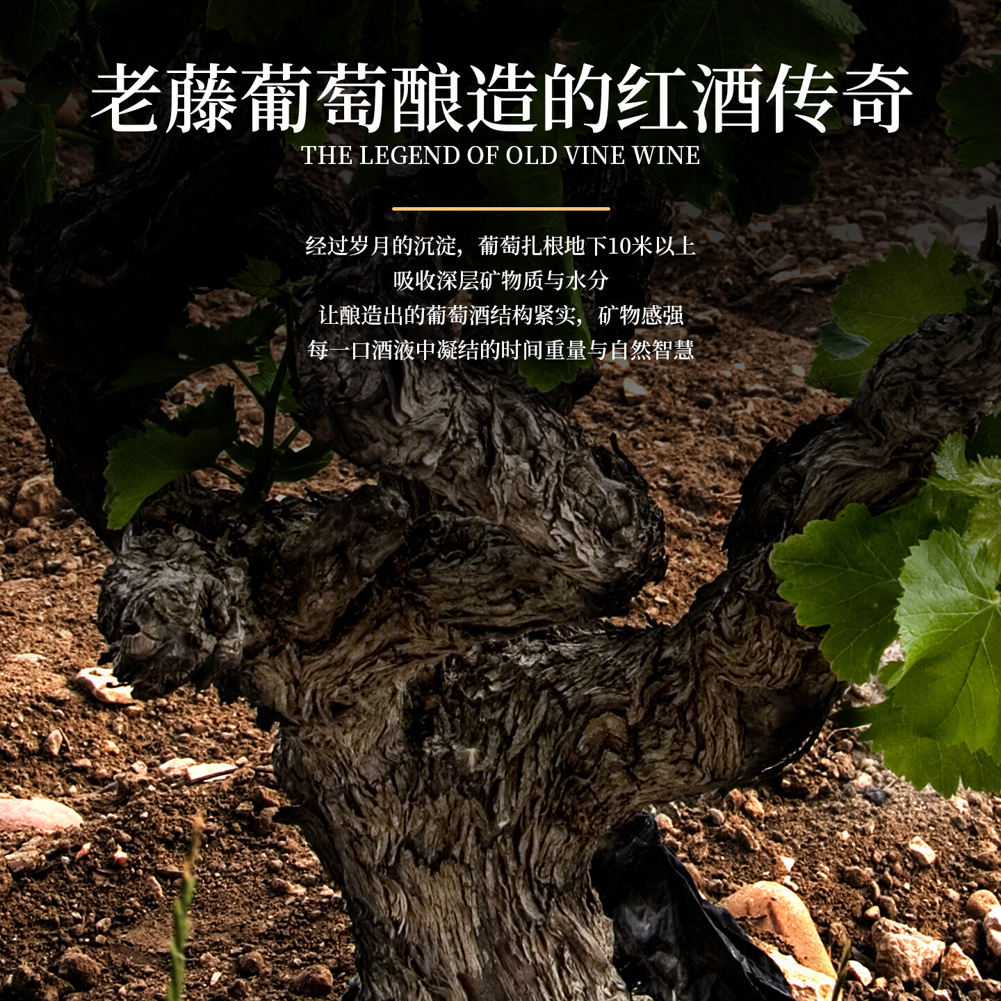 马丁巴克 【双支红酒礼盒】法国进口红酒高端干红葡萄酒送礼批发中秋礼盒 【古堡丨法国】14°酒味醇厚