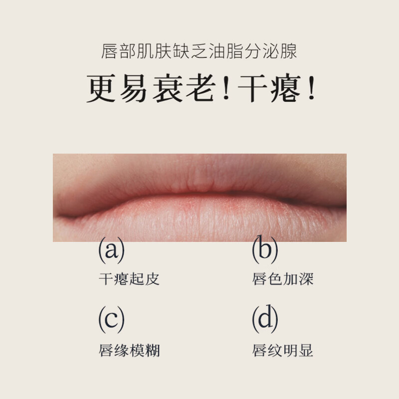 枫缇(Ble de Fonty)金桂唇部盈润修护胶囊精华唇油膏桂花香42粒