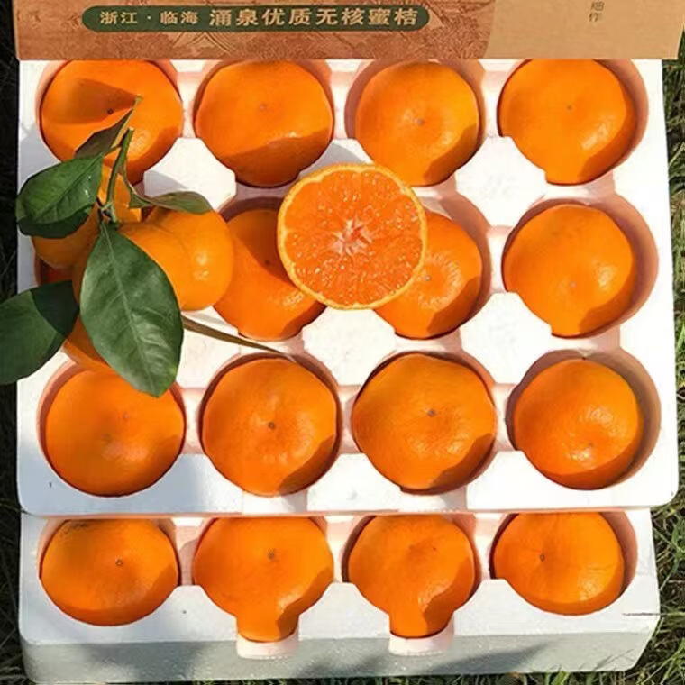 蒲恋临海涌泉蜜桔【顺丰快递-多地次日达】新鲜蜜桔黄岩橘子水果送礼 S+级特级果丨单果60-70mm 5斤装【精美礼盒-送礼力荐】净重4.5斤
