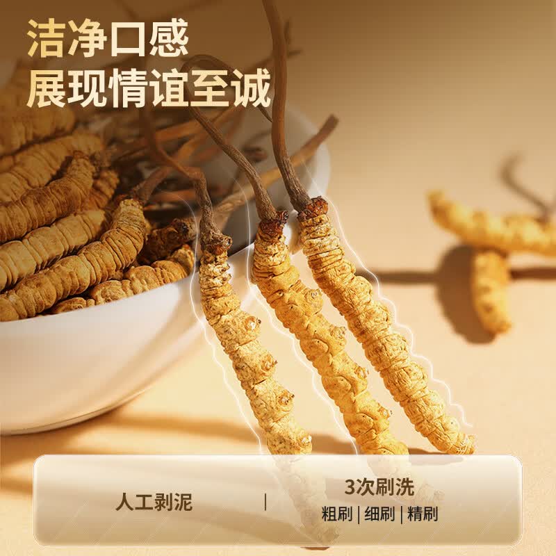 北京同仁堂冬虫夏草高端虫草礼盒滋补养生营养品送长辈领导春节年货礼品 5g*1盒 (4根/g)