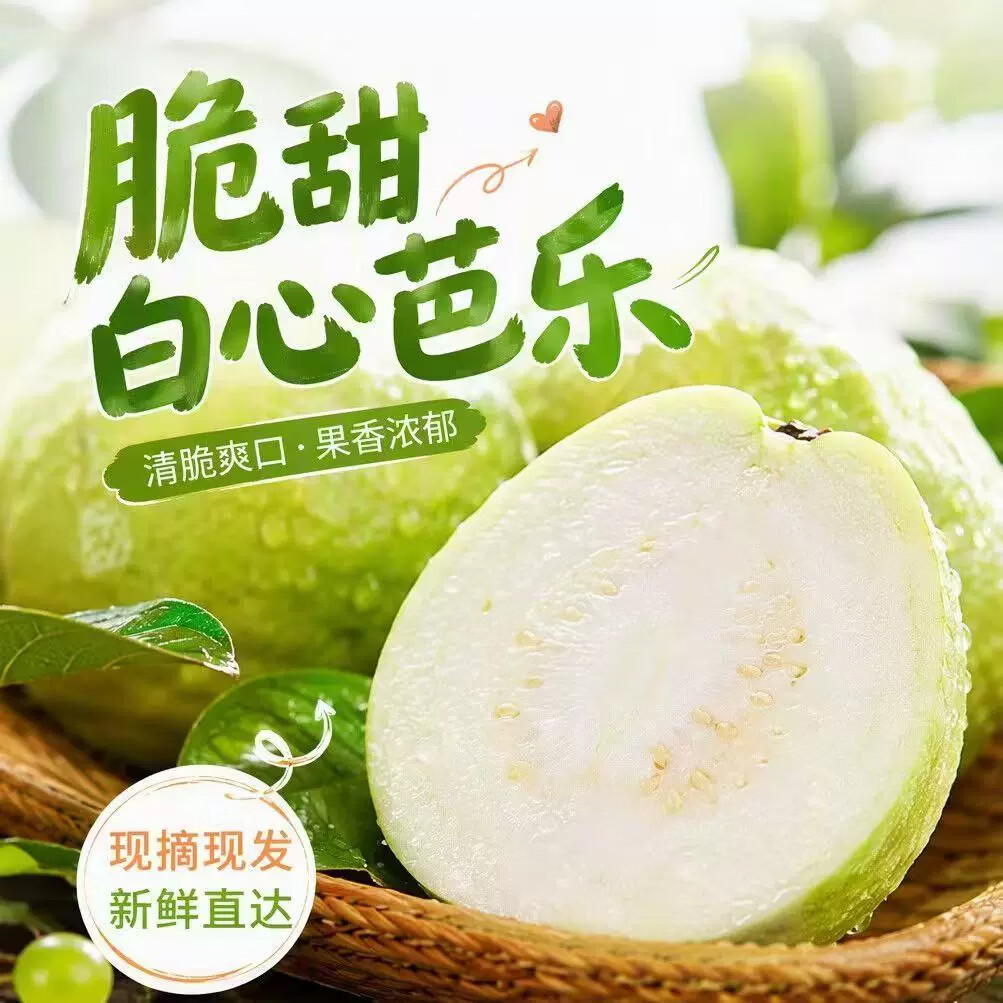 广西白心芭乐番石榴新鲜水果源头直发包邮 5斤白芭乐单果150克净重4.5斤