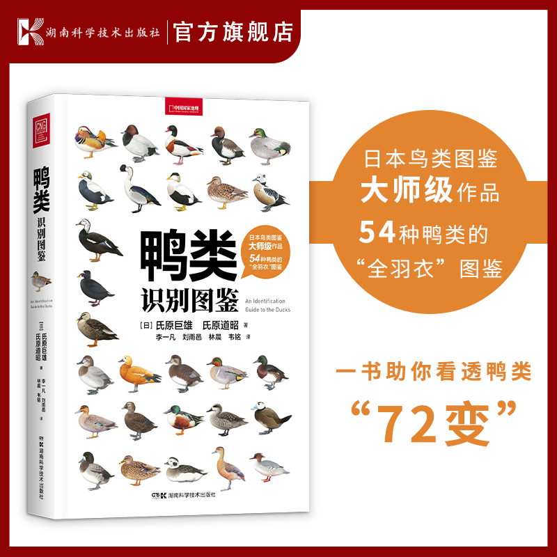 鸭类识别图鉴 日本鸟类图鉴大师作品！54种鸭类的“全羽衣”图鉴！帮你解决观鸭过程中的诸多疑难杂症！