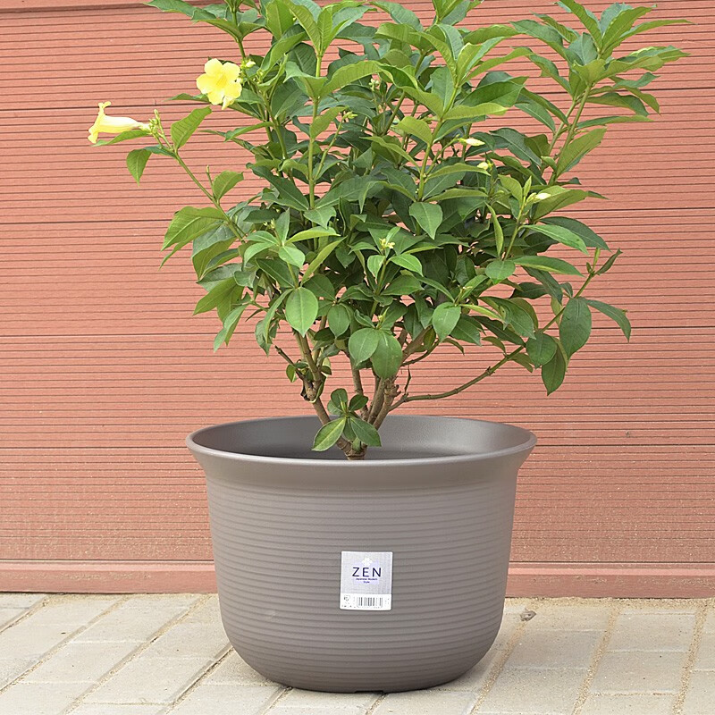 爱丽思圆形加厚花盆多肉盆栽花卉绿植大号塑料花盆室内阳台户外庭院办公室种植盆中钵12号茶色 口径36 8cm 虎窝购 爱丽思圆形加厚花盆多肉盆栽花卉绿植大号塑料花盆室内阳台户外庭院办公室种植盆中钵12号茶色 口径36 8cm 虎窝购