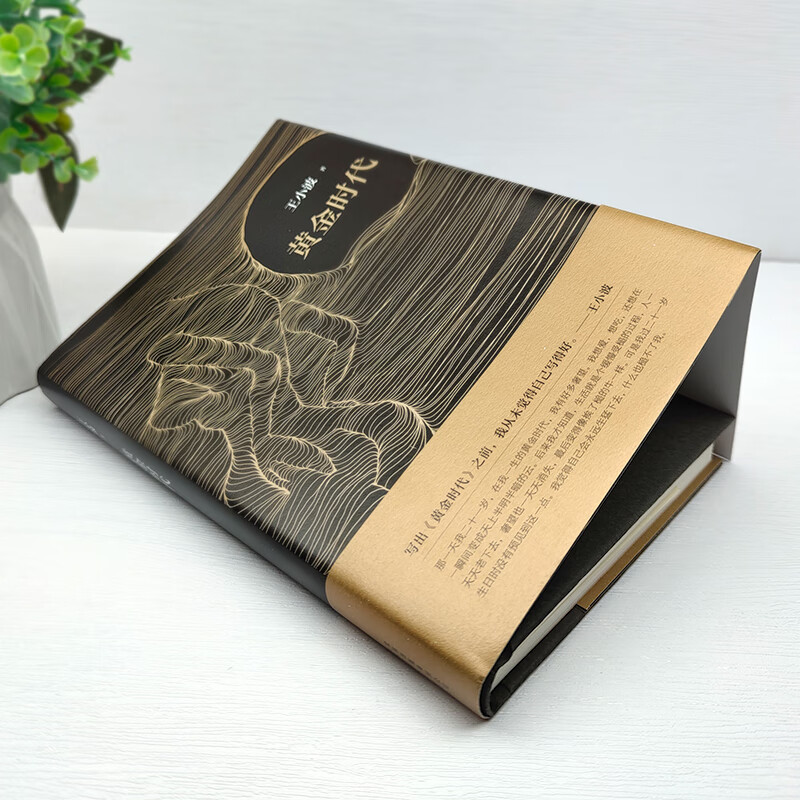 王小波黄金时代无删减书三十而立全集我的阴