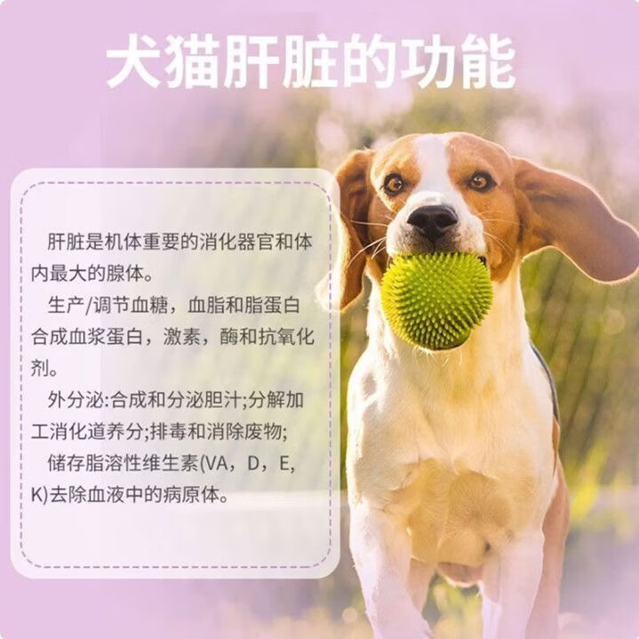 丹诺仕Denosyls护肝养肝补血腹水猫咪狗狗肝炎黄疸猫咪狗狗护肝保健片 30粒*1盒