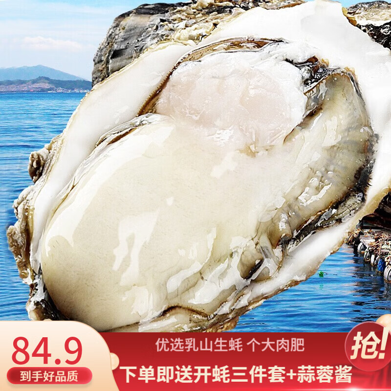 峰贝【活鲜】鲜活 乳山生蚝 三倍体生蚝 牡蛎 生鲜 贝类 海鲜水产 主推!2XL号 5斤装高性价比高么?